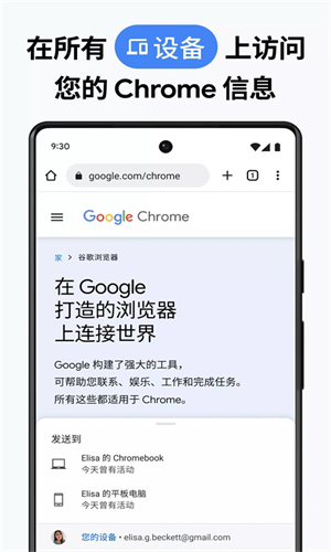 谷歌chrome浏览器截图3